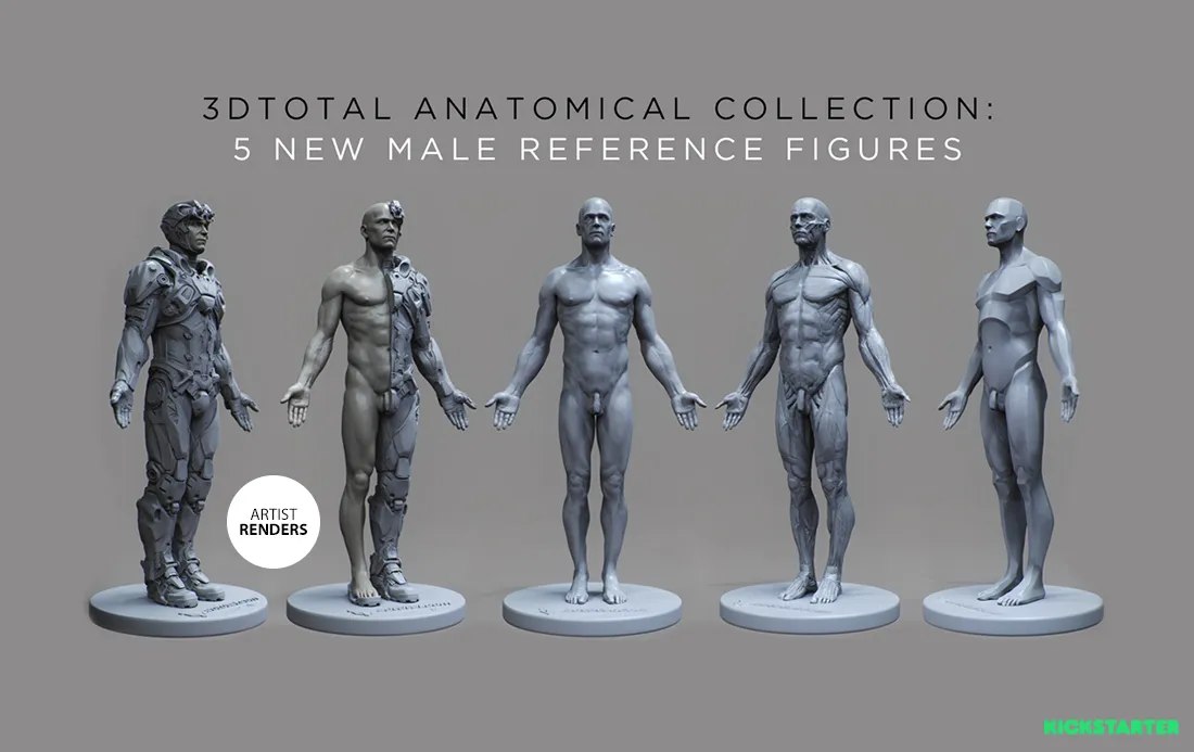 3DTotal launches new male anatomical reference figures