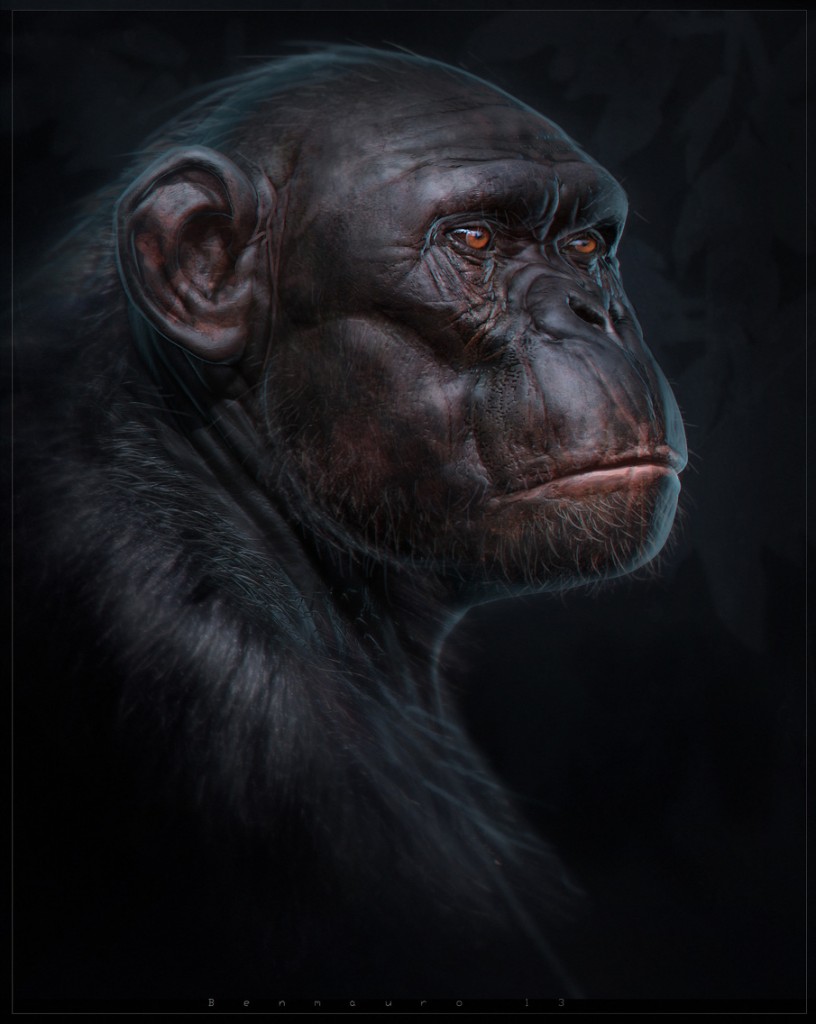 Primate: a personal artwork.