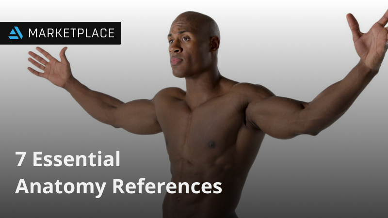 7 Essential Anatomy References - ArtStation Magazine