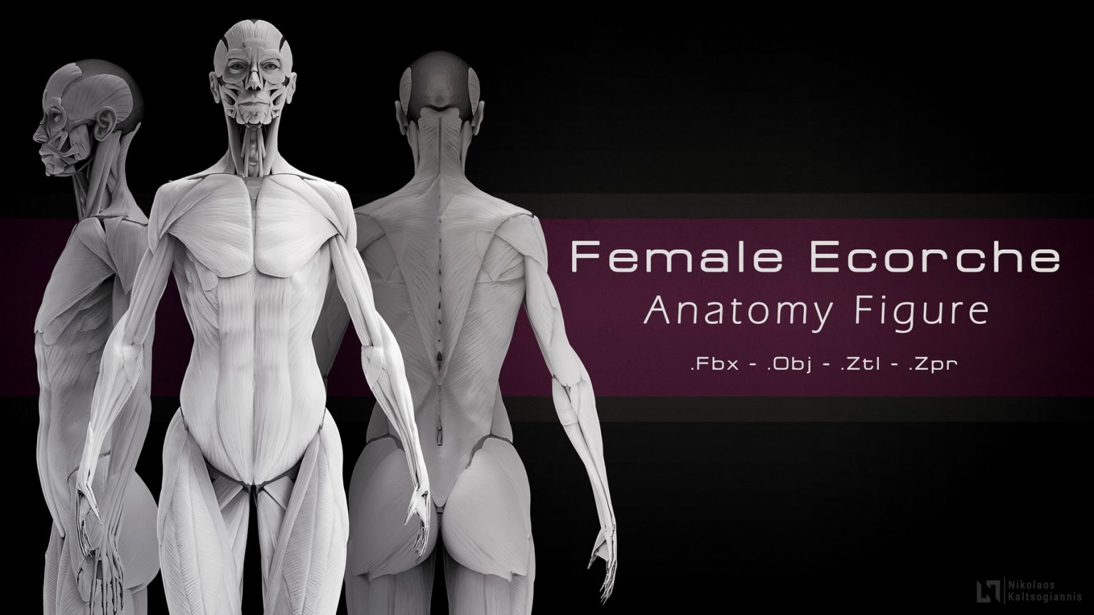 Essential Anatomy References Artstation Magazine