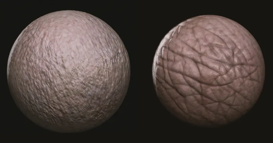 Two texture spheres of wrinkly skin