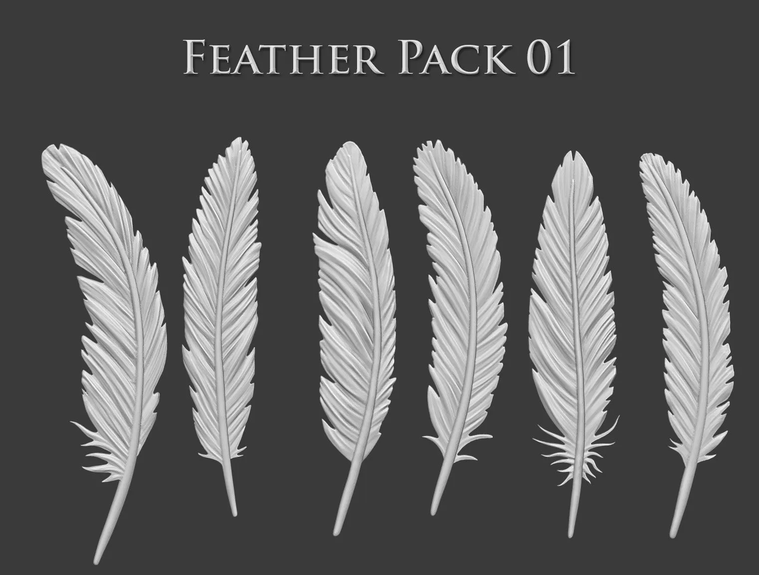 A picture of 3D feathers in a row