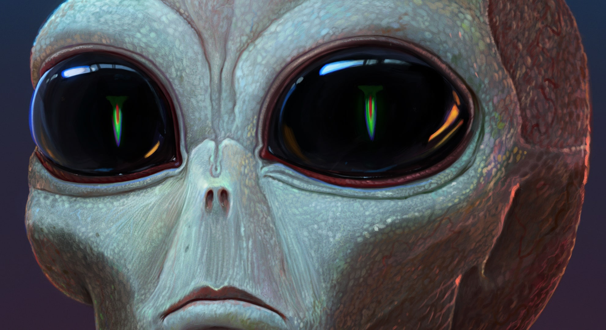 Close up shot of a grey alien's face