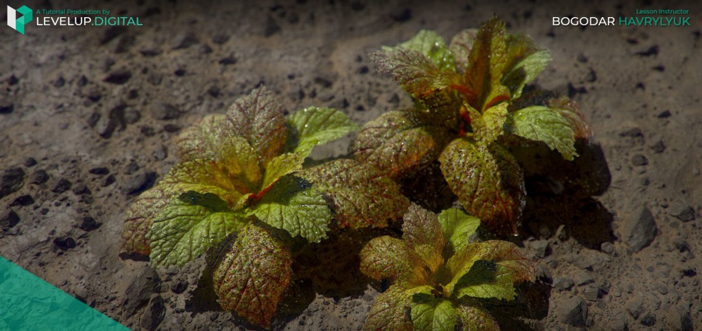 3D mustard plants are rendered on a dry rocky ground