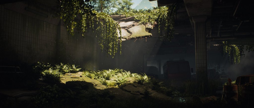 Light streams in through a broken roof of a vacant building, foliage lining the hole's edge