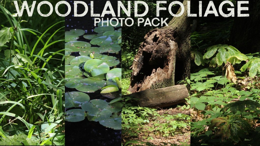 4 different types of foliage photos are shown