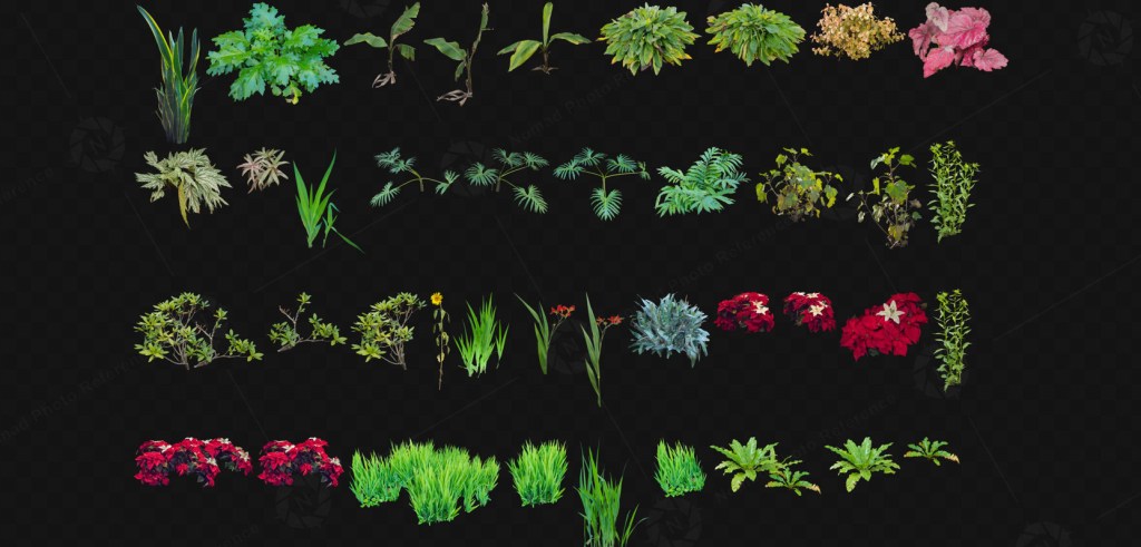 Cutouts of foliage art photos are shown on a dark background