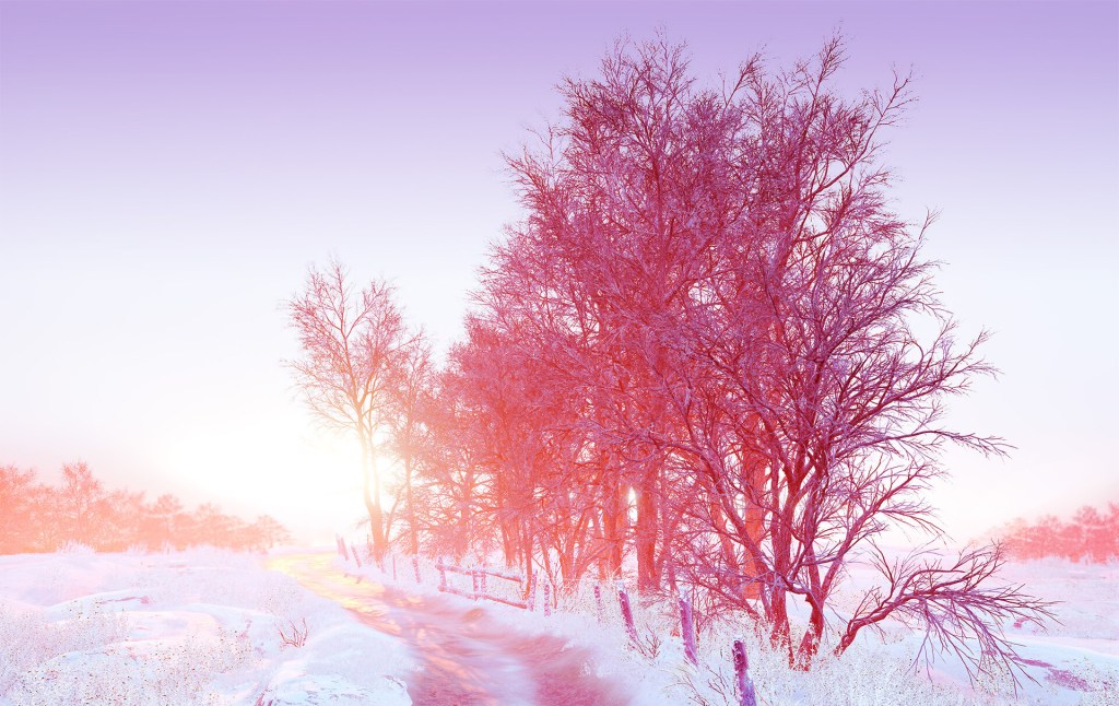 A winter scene, tinted with a brilliant pink and orange color